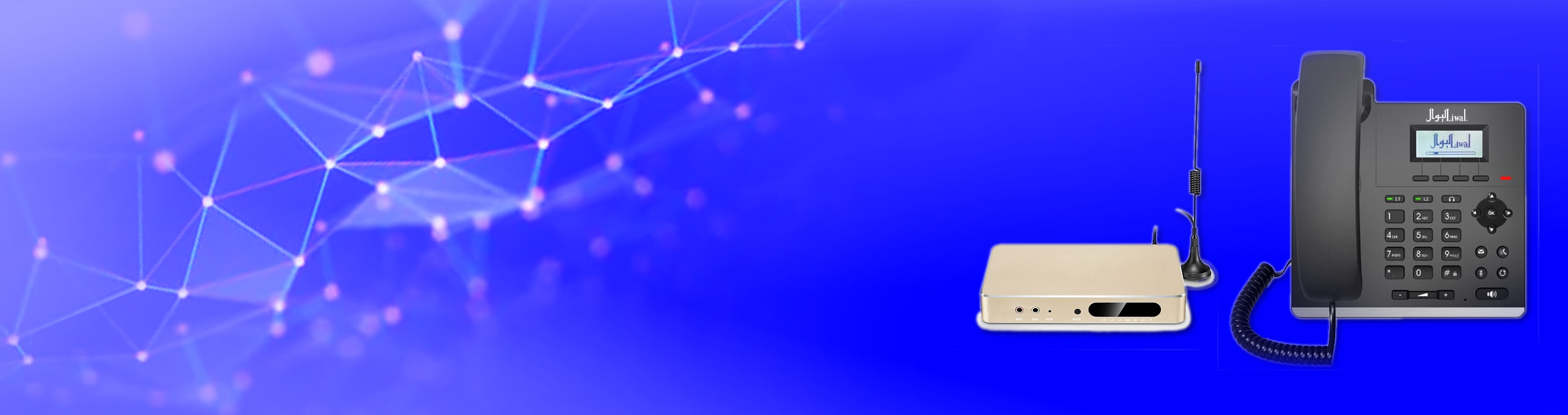 Liwal IP Phone Systems
