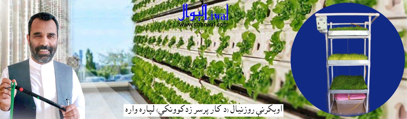 اوبکرنې روزنيال (د کار پرسر زدکوونکى)