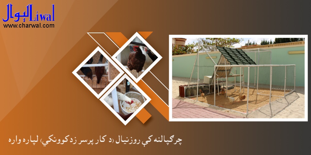 چرګپالنه کې روزنيال (د کار پرسر زدکوونکى)