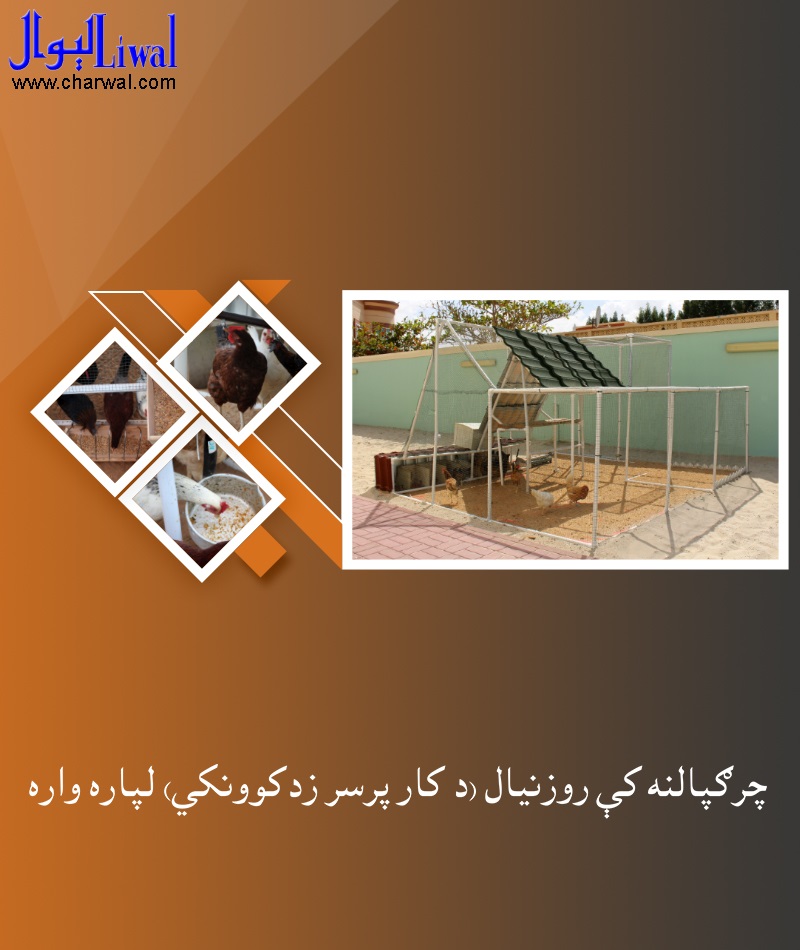 چرګپالنه کې روزنيال (د کار پرسر زدکوونکى)