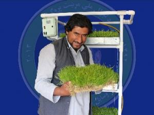 Liwal Washgr Model BK1