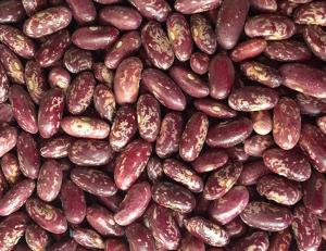 Red Speckled Kidney Beans