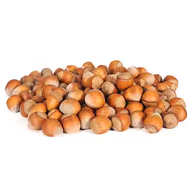 Organic Hazelnut Inshell