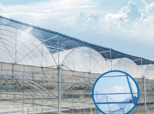 Greenhouse Film or Plastic