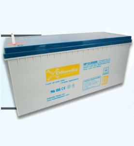 Hollondia Tubular Battery